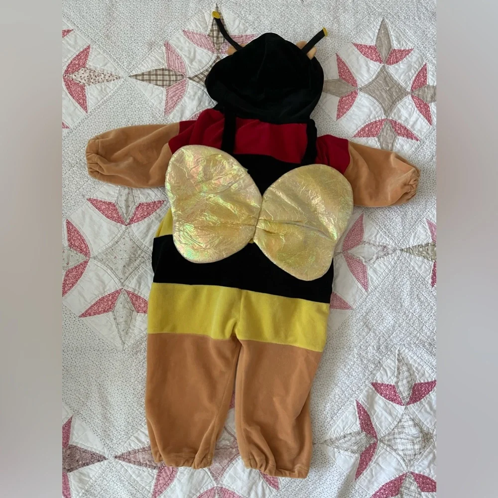 Winnie the Pooh honey Bee costume Disney toddler baby - Picture 3 of 6